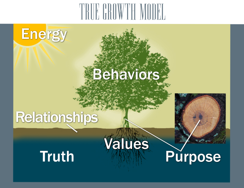 True Growth Model